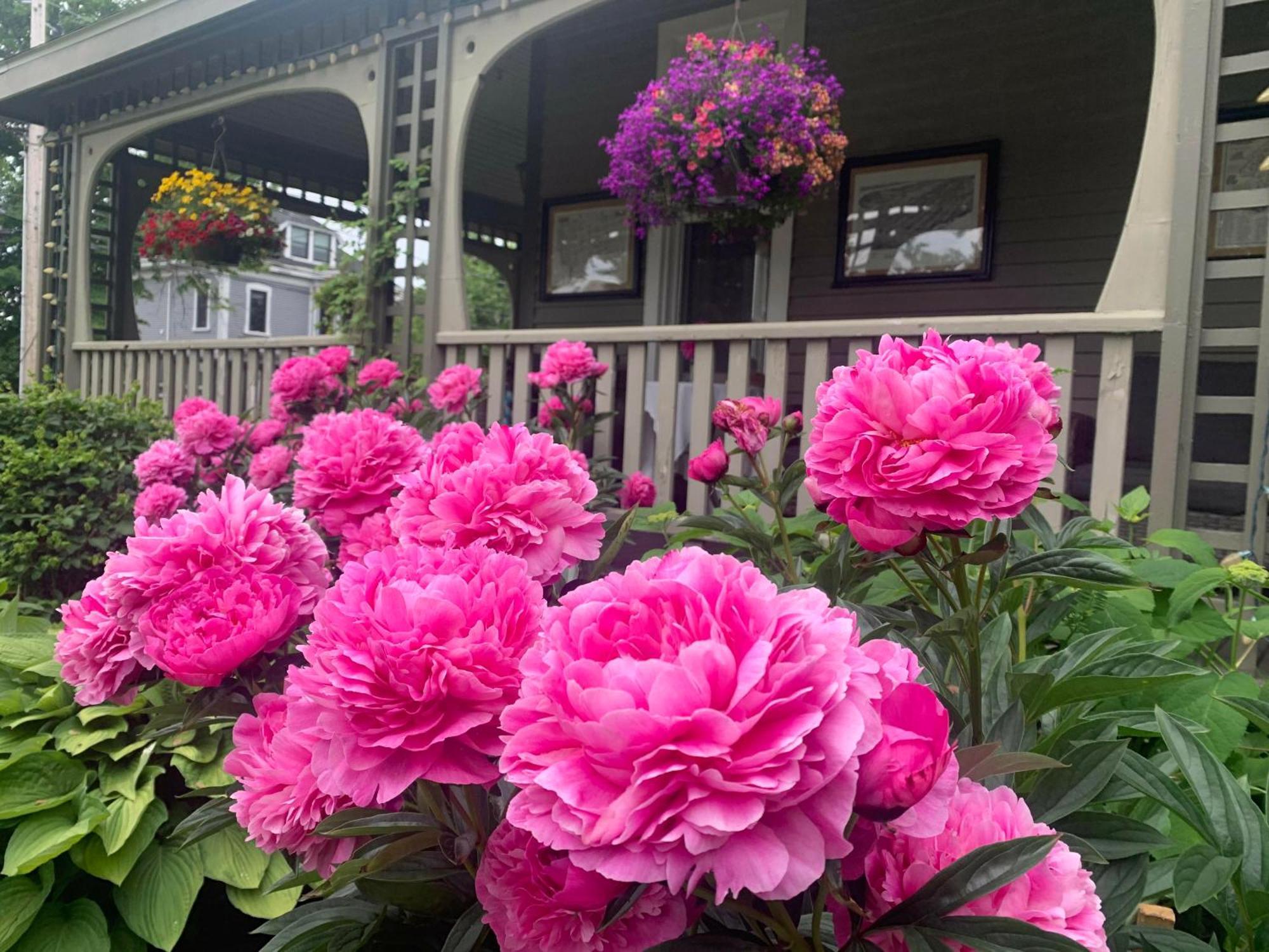 No 1 Grafton Inn Charlottetown Dış mekan fotoğraf
